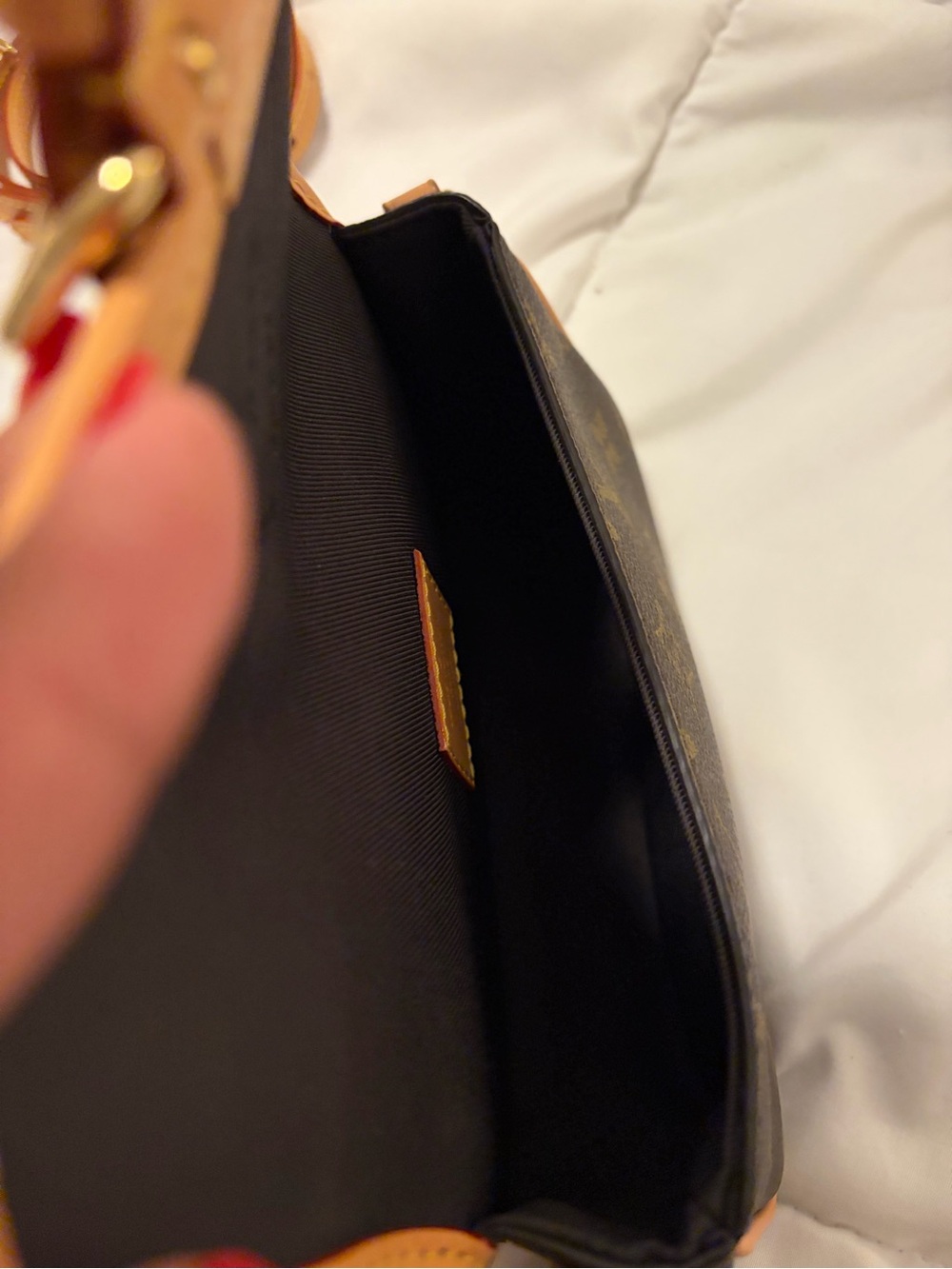 Louis Vuitton Monogram Nano Diane - Picture 10 of 13